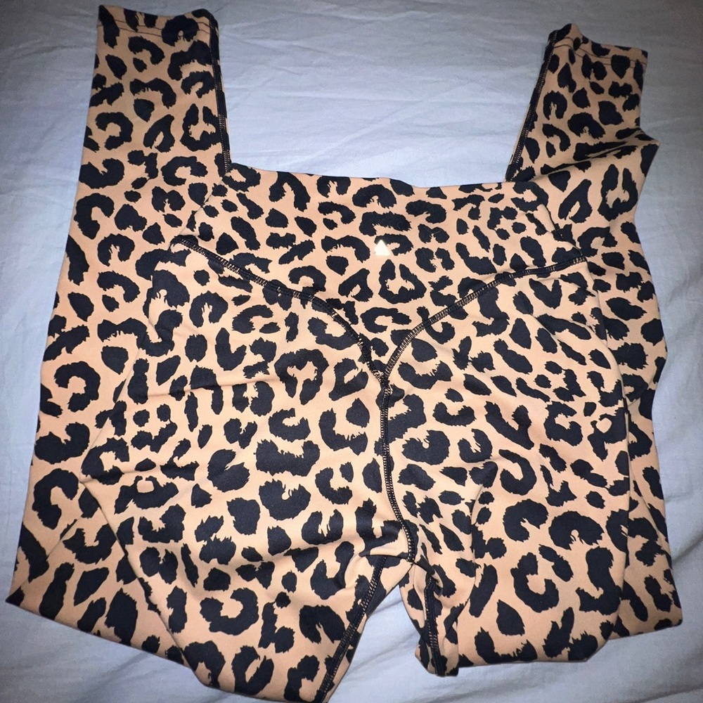Cheetah 🐆
